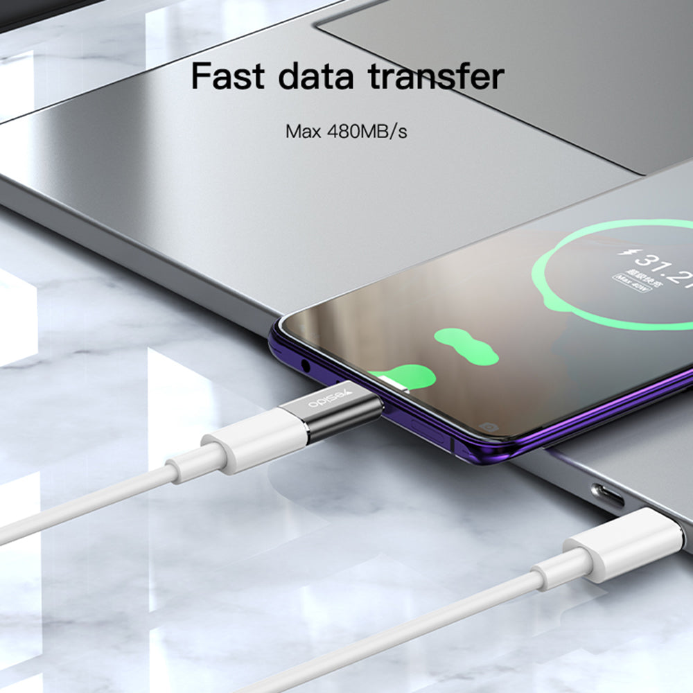 Daten- und Ladeadapter Lightning - USB-C Yesido GS22, Grau