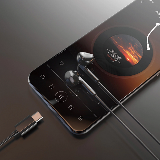 USB-C-Headset Dudao X3C, Schwarz