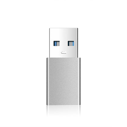 USB-C to USB-A Data and Charging Adapter, Fixed, Grey
