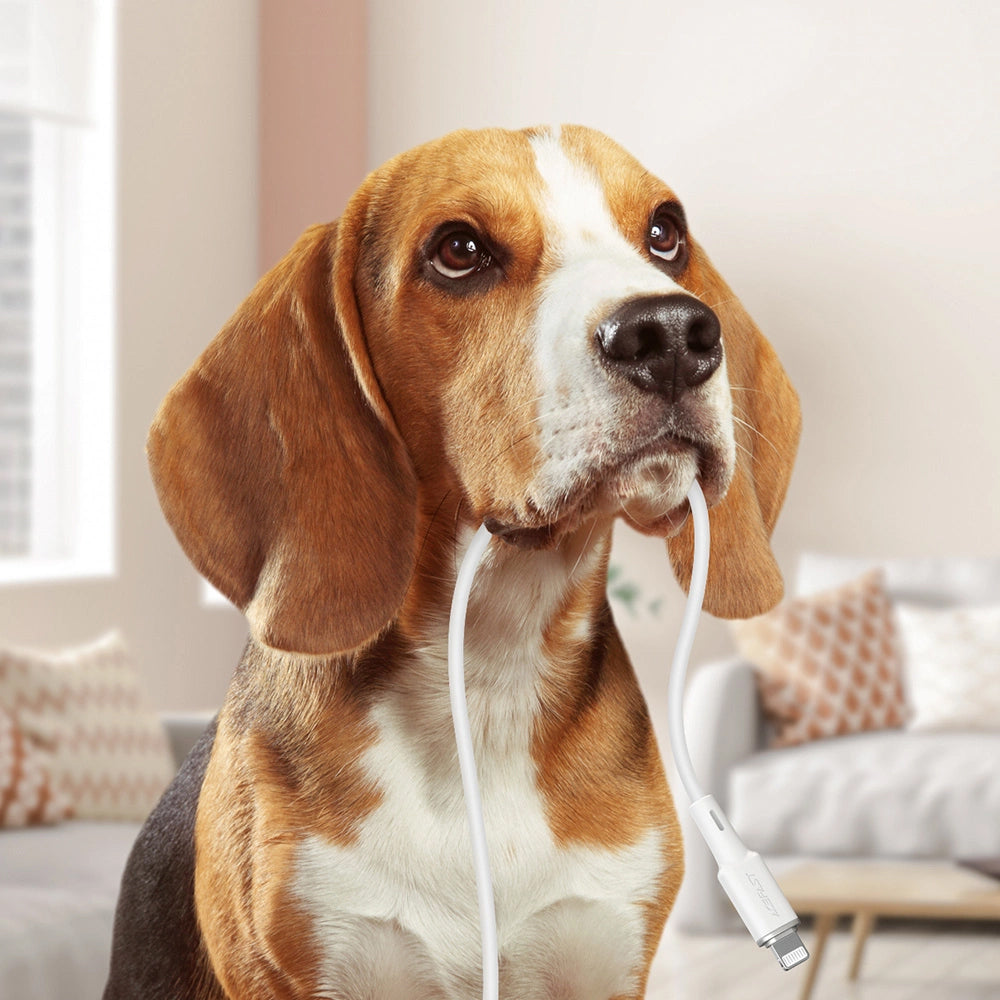 USB-C - Lightning Daten- und Ladekabel Acefast C2-01, 30W, 1.2m, Schwarz