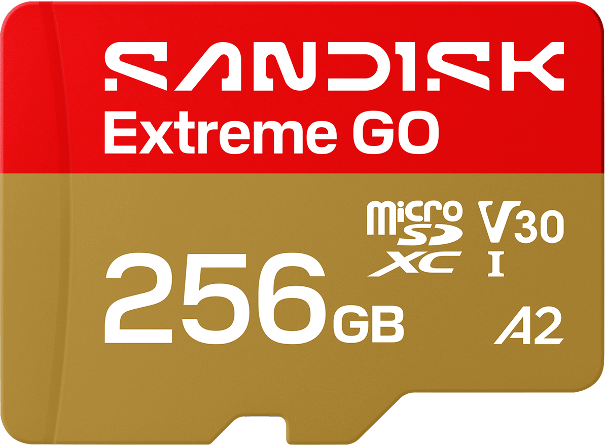 microSDXC-Speicherkarte SanDisk Extreme GO Android A2, 256GB, Klasse 10 / UHS-1 U1 SDSQXGN-256G-GN6MN