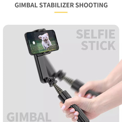 Gimbal Stabilisator Bluetooth Techsuit L09 Gimbal, Universal, Schwarz